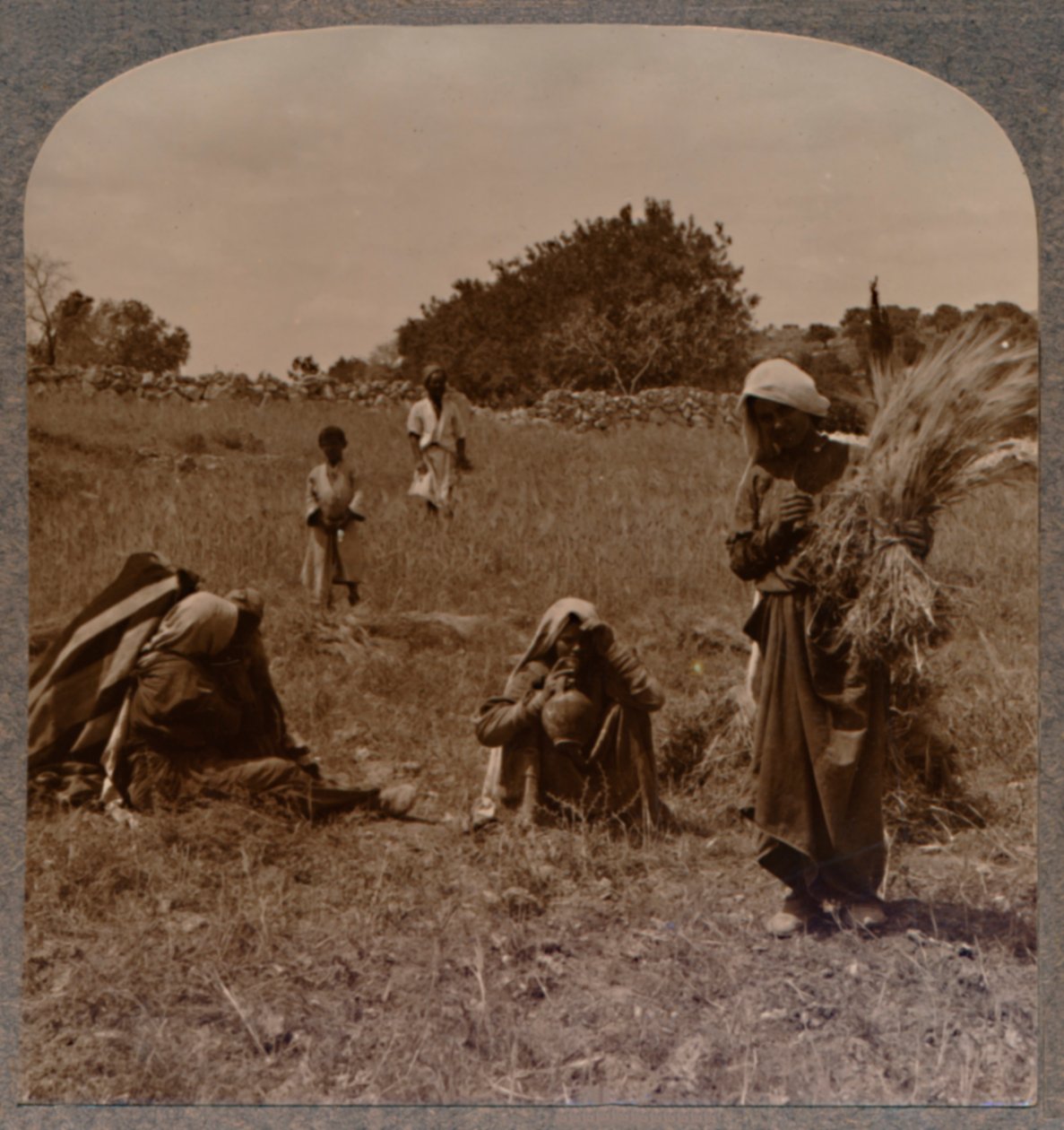 Ruth gleaning in the Fields of Boaz, c1900 by Unbekannt