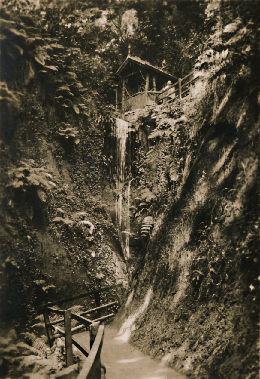 Shanklin Chine, I.W., c1920 by Unbekannt