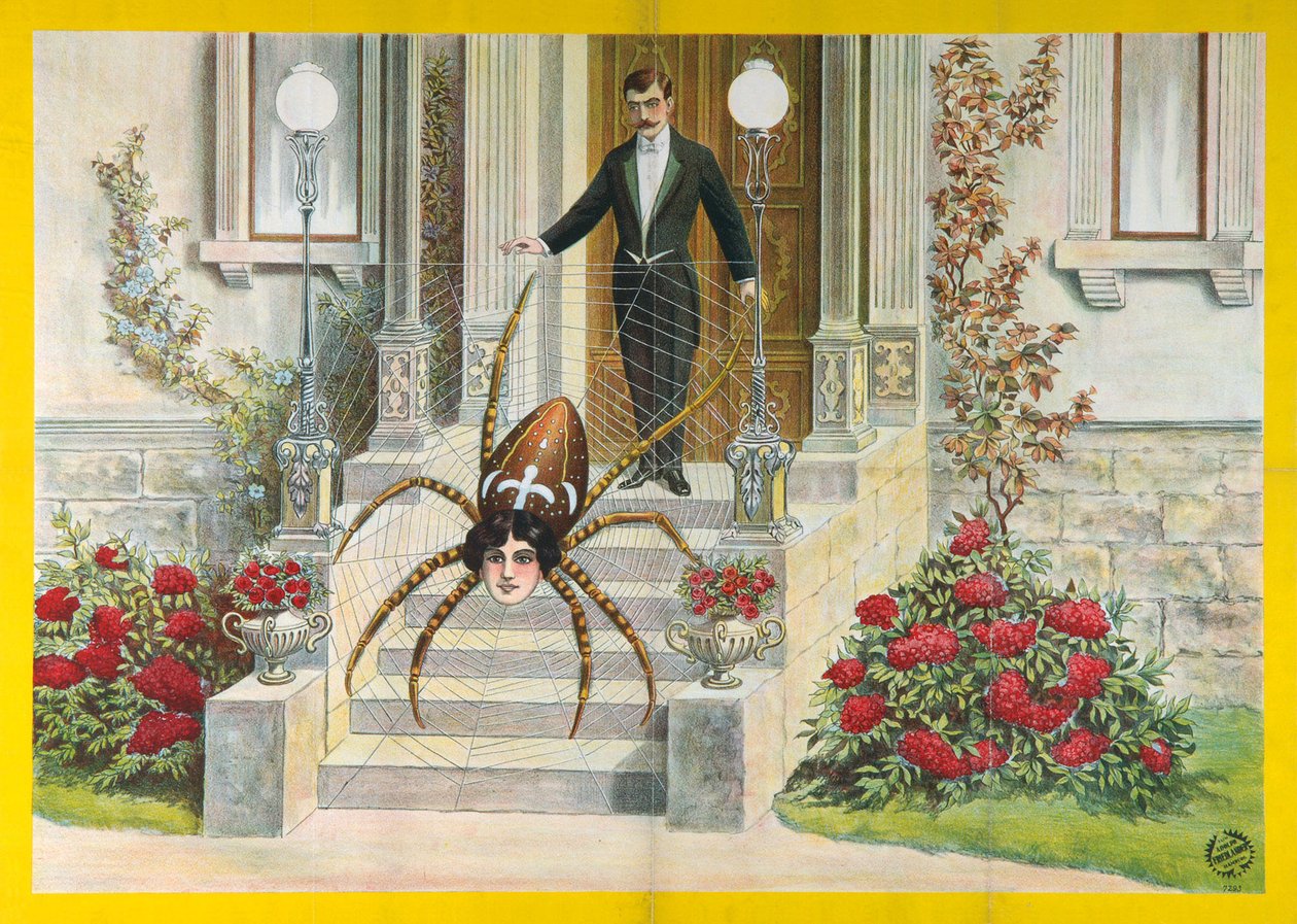 Spider-Woman Poster by Unbekannt