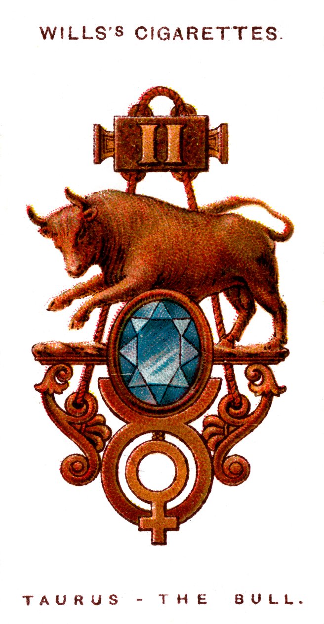 Taurus, The Bull by Unbekannt