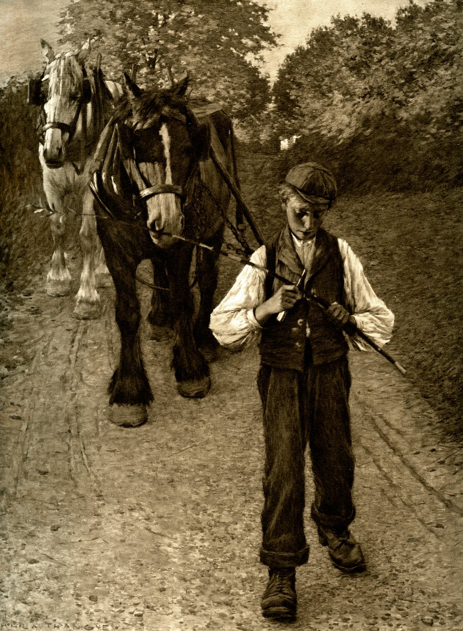 The Plough Boy by Unbekannt