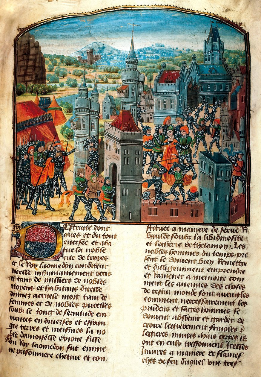 The Trojan War by Unbekannt