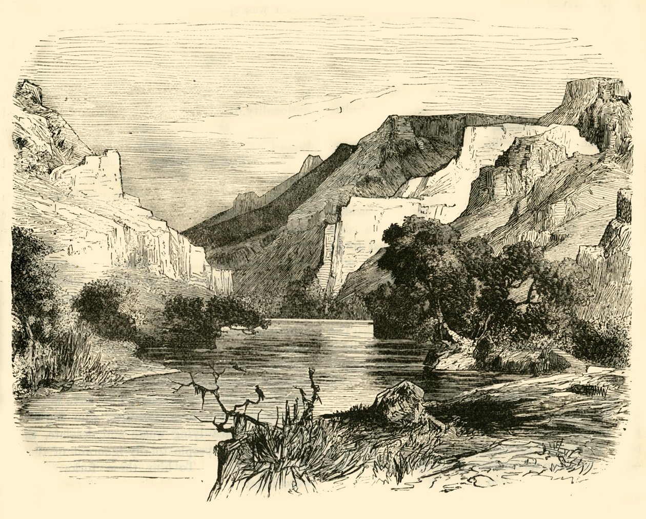The Vale of Tempe, 1890 by Unbekannt