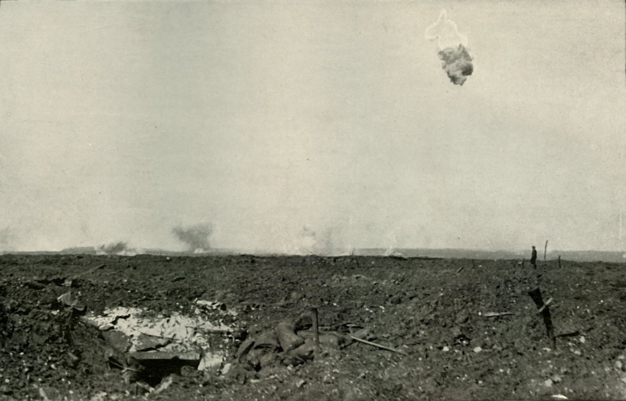The Woolly Bear, 1919 by Unbekannt