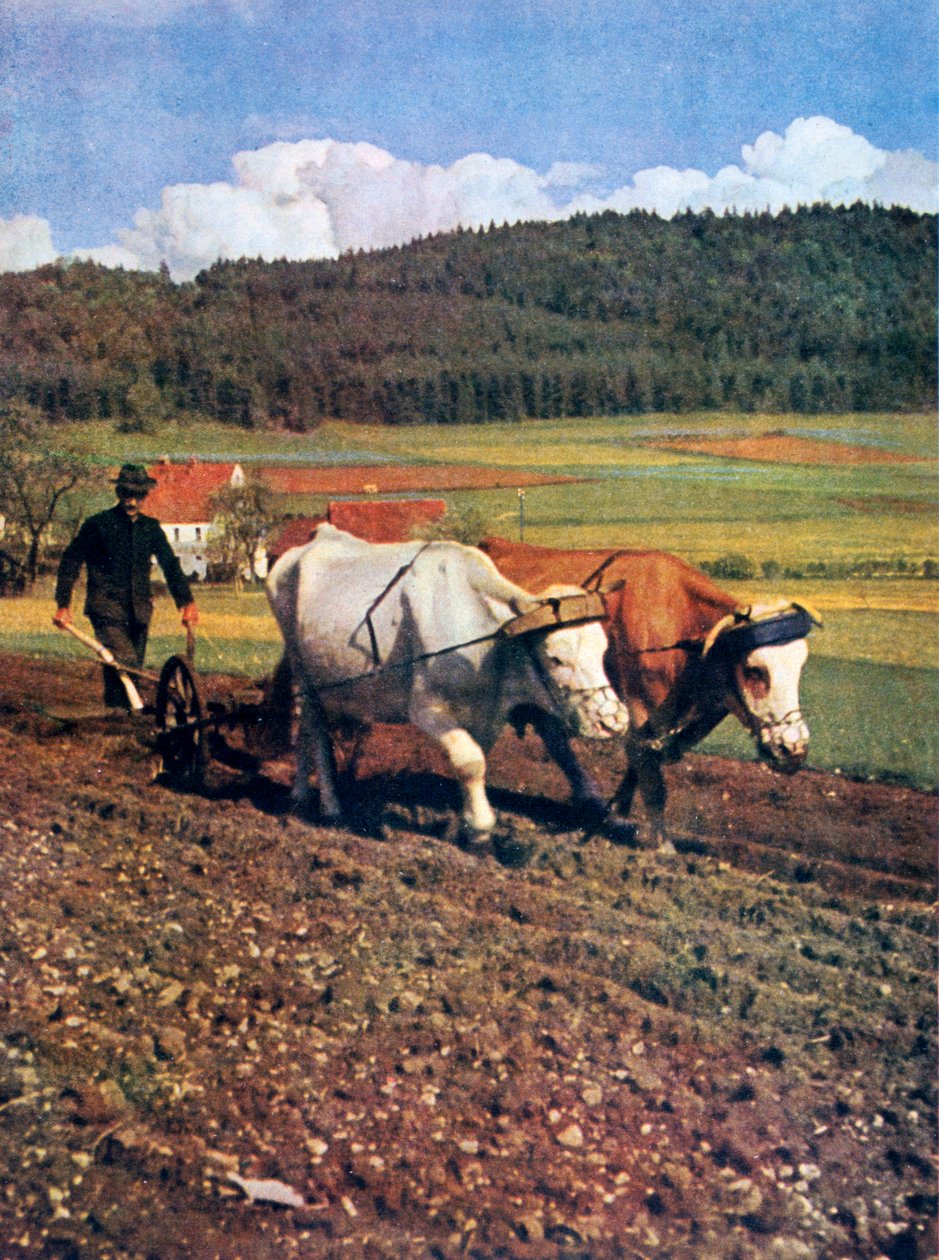 Tilling, Germany by Unbekannt