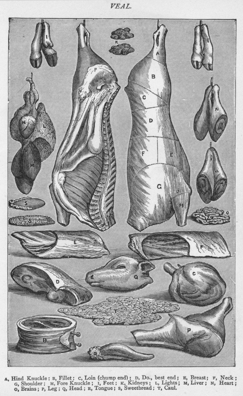 Veal, 1907 by Unbekannt
