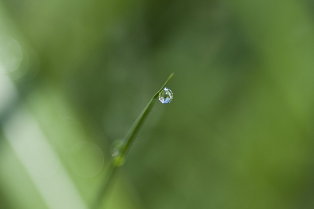 Droplet by Unbekannter Künstler