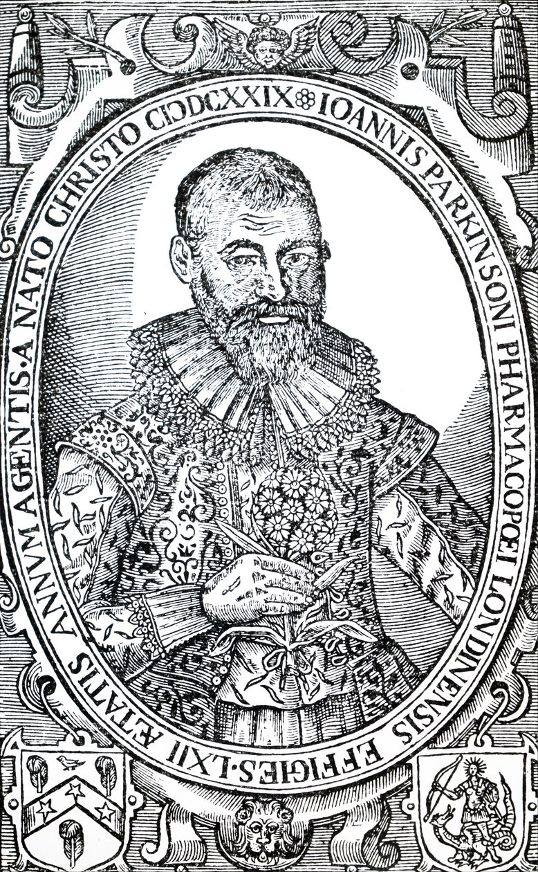 John Parkinson by Unbekannt