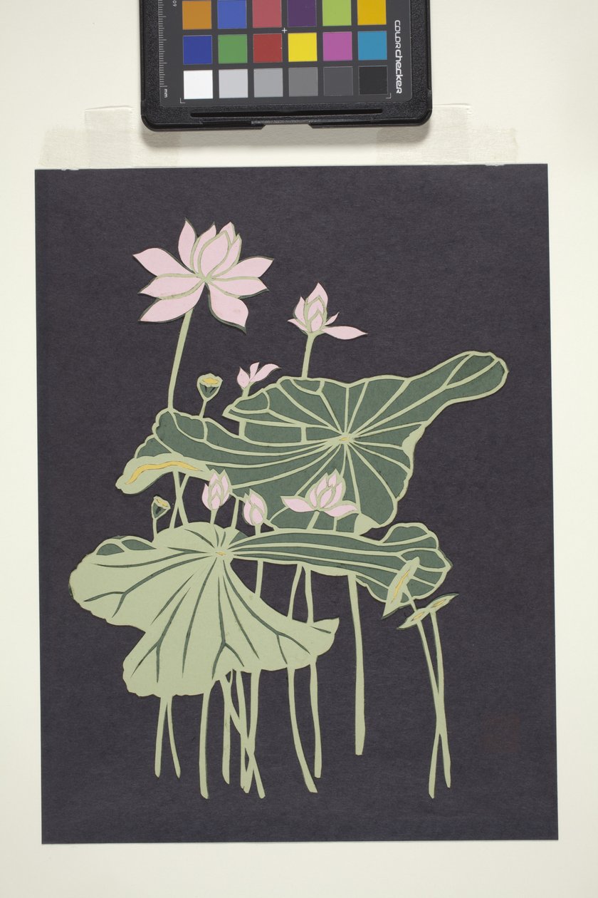 Lotus by Unbekannter Künstler