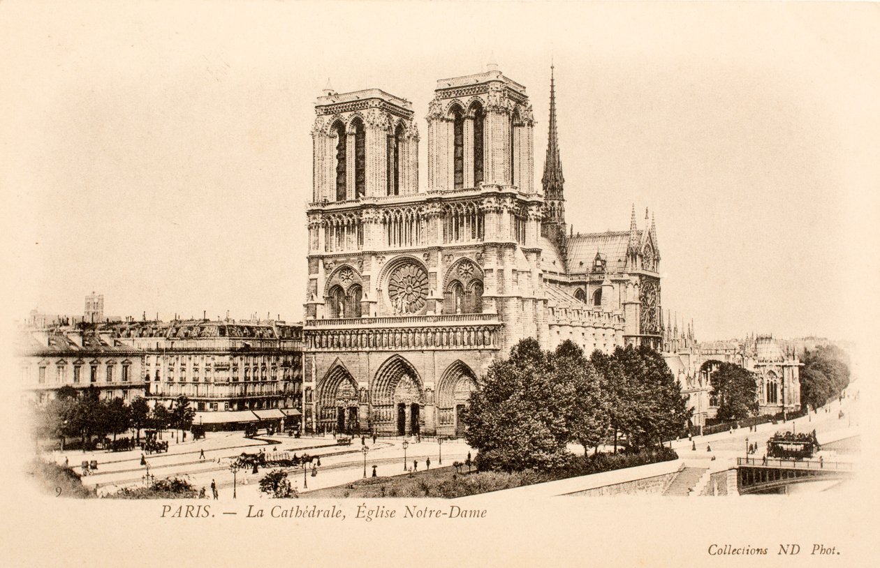 Postcard/Notre Dame/Paris/Seine/Ile de France/France by William M. Timlin