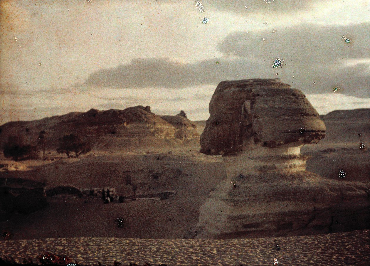 Sphinx by Unbekannter Künstler