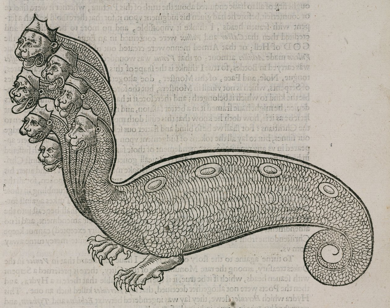 The Hydra by Unbekannt