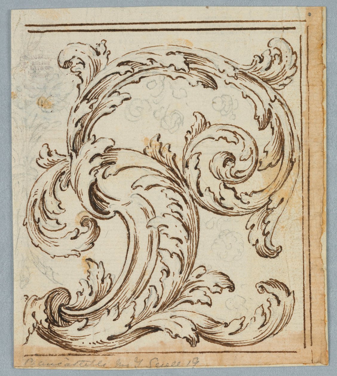 Drawing, Rinceau Design by Unknown