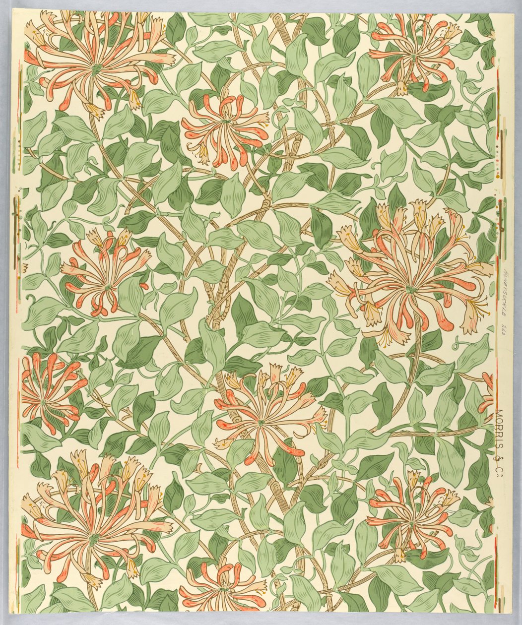 Sidewall, Honeysuckle by Unknown