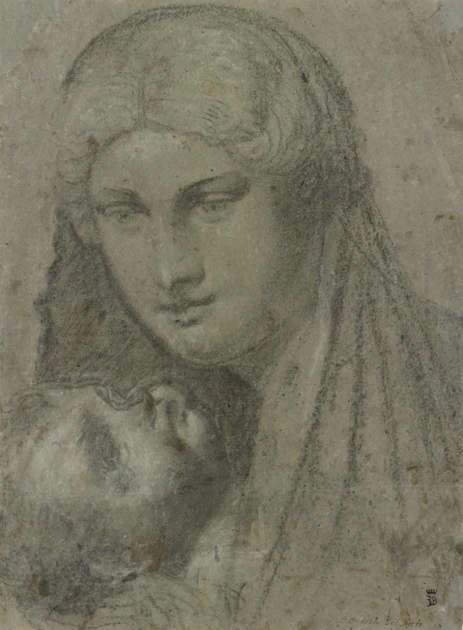 Study of a Woman by Unknown