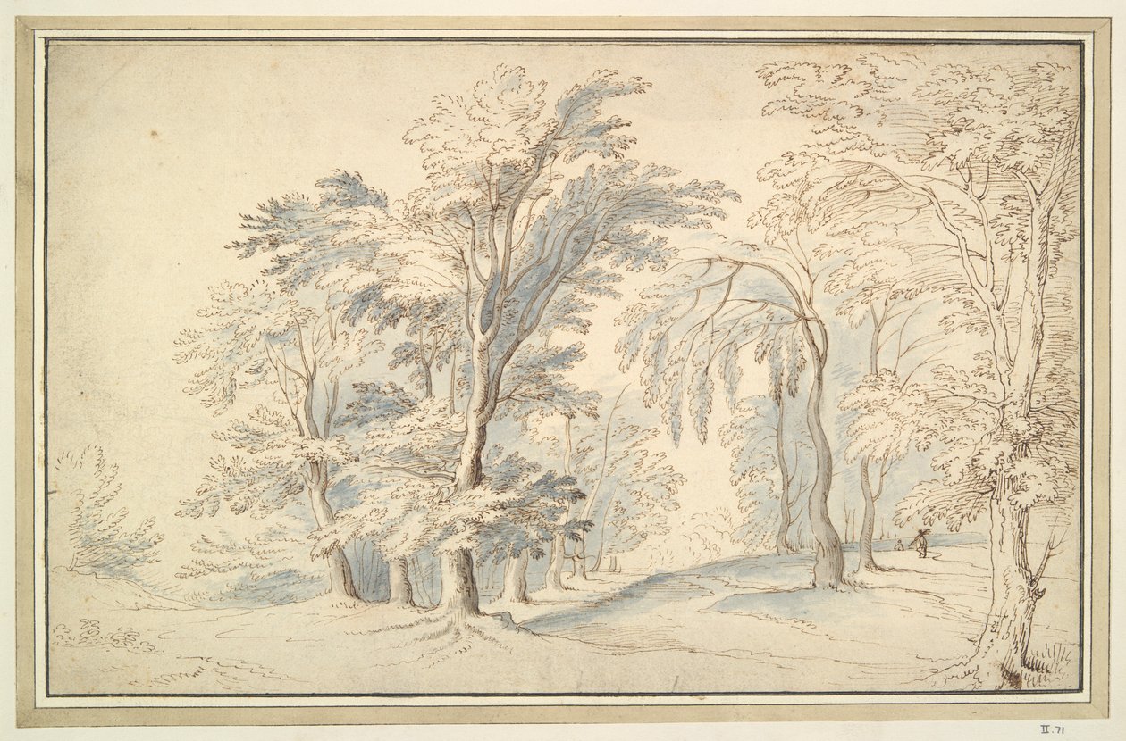 Woody Landscape by Unknown