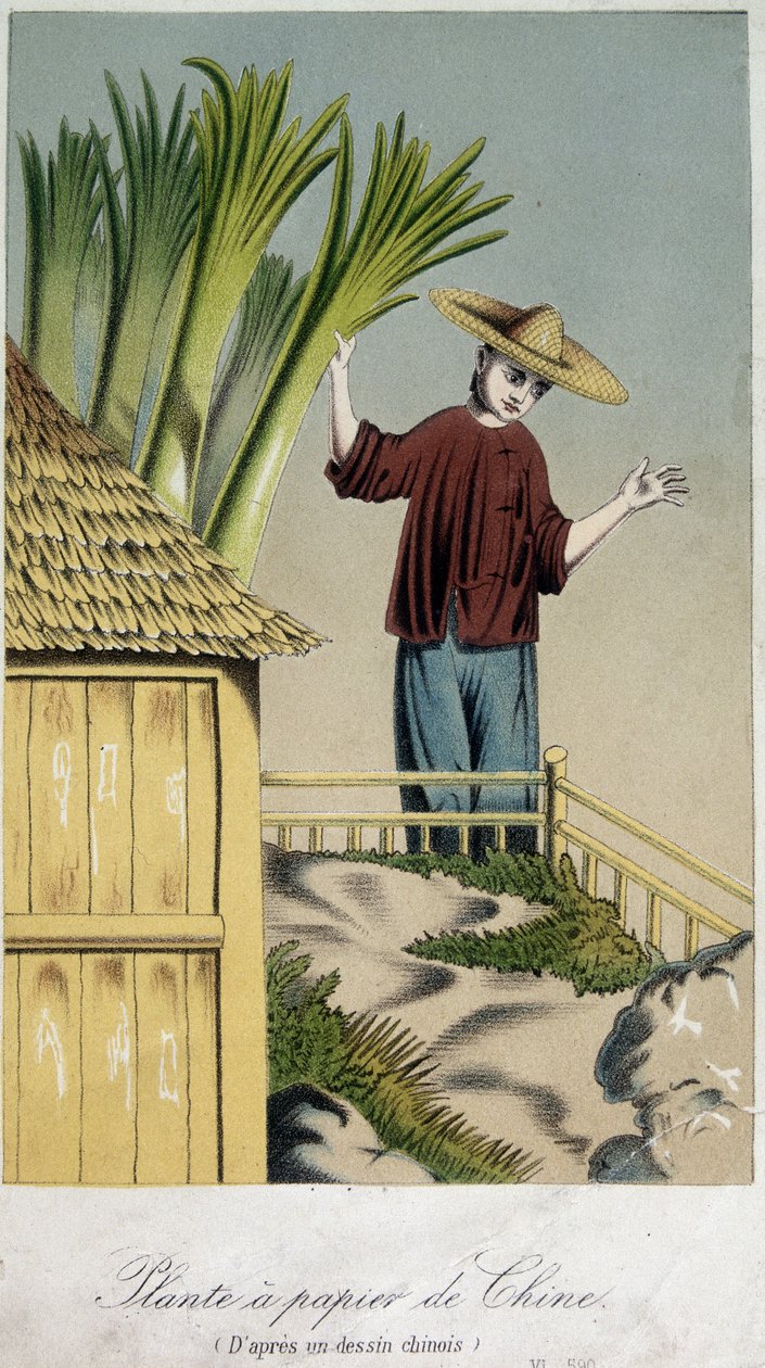 Paper plant, China by Unknown artist