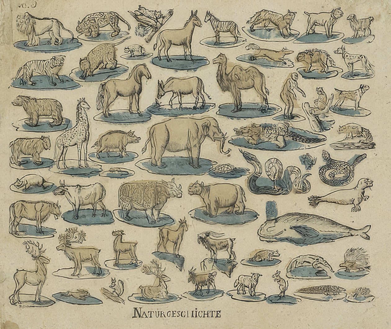 Animals. 1750-1800 by Unknown