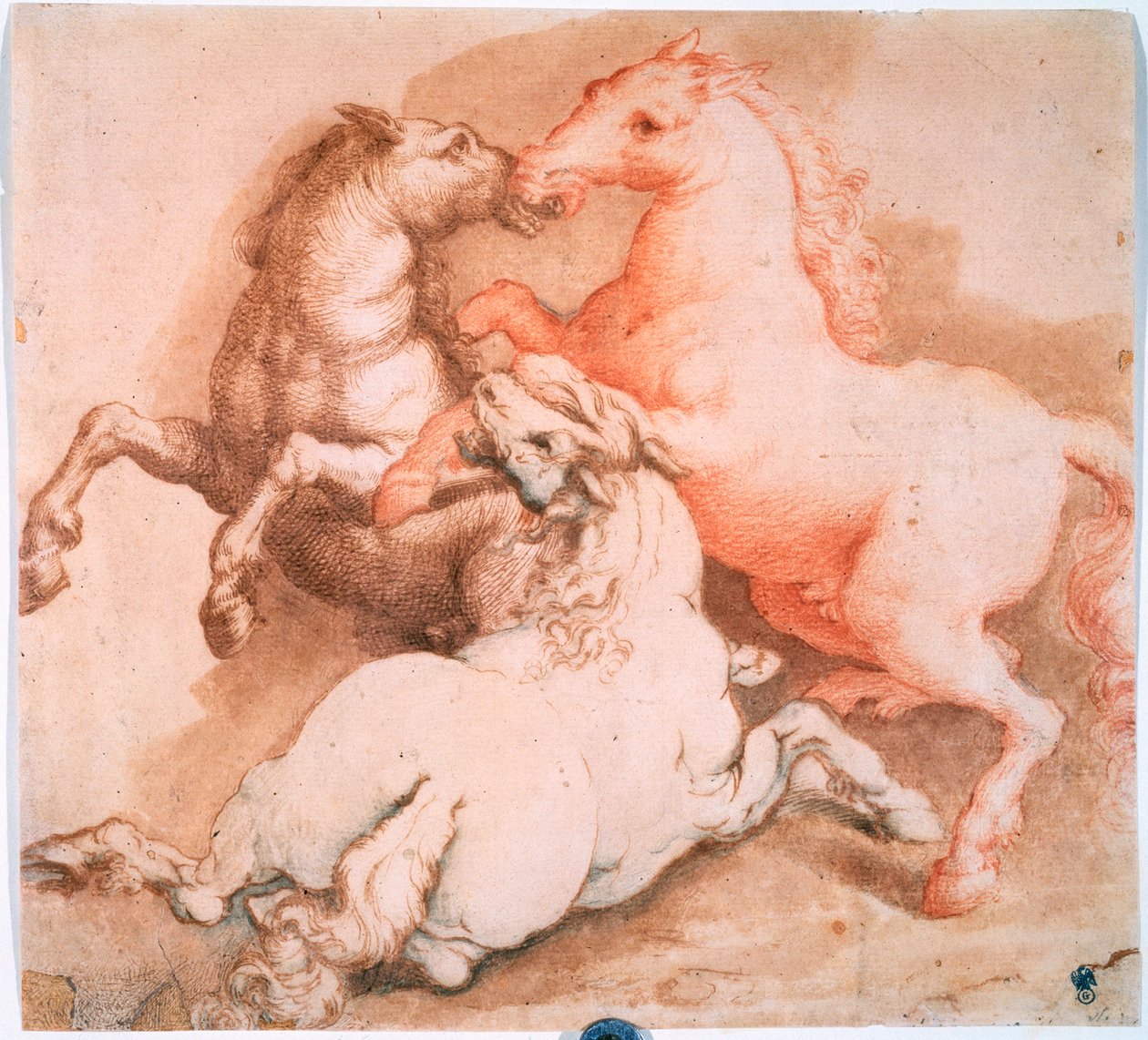Fighting Horses by Unknown Old Master