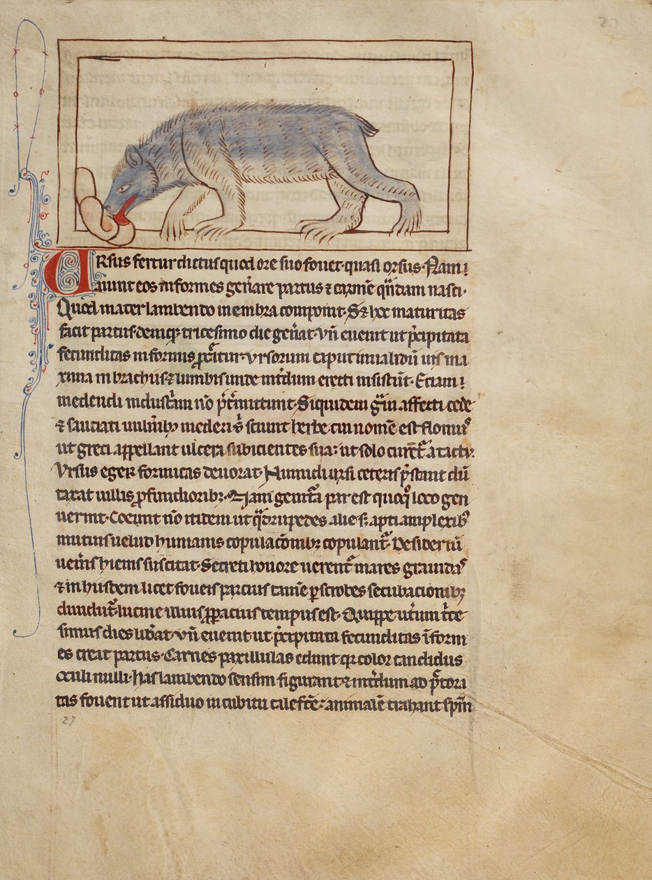 A Bear by Unknown artist