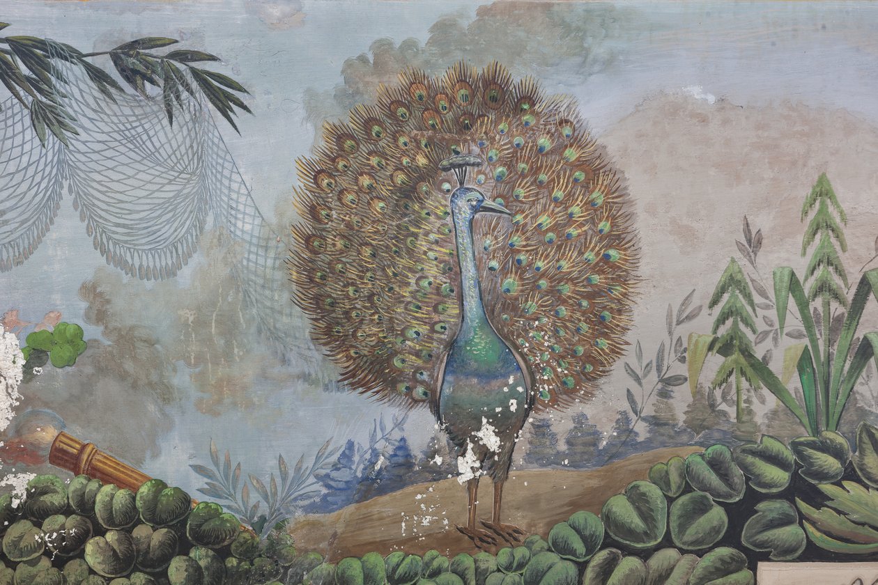 A Peacock (detail) by Unknown artist
