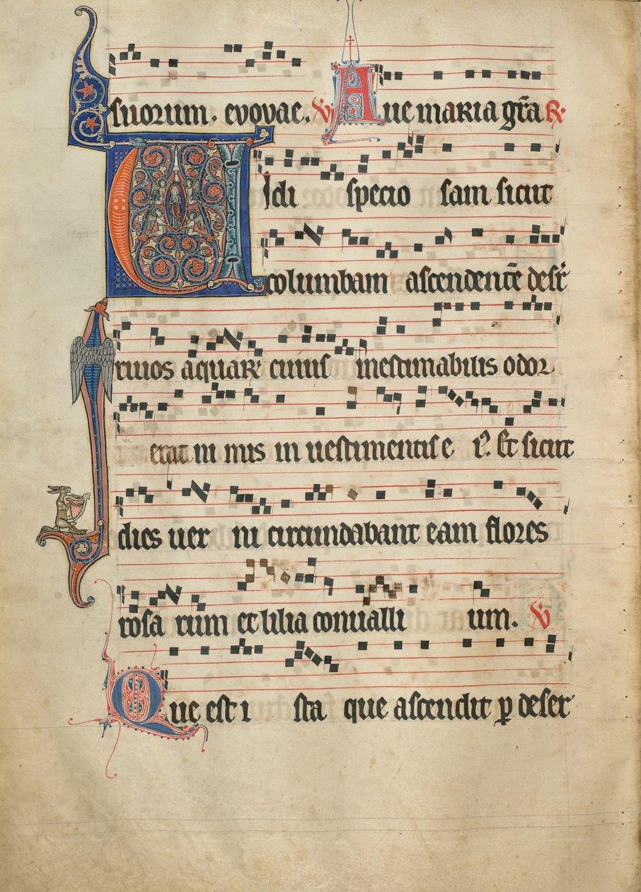 Antiphonal by Unknown artist
