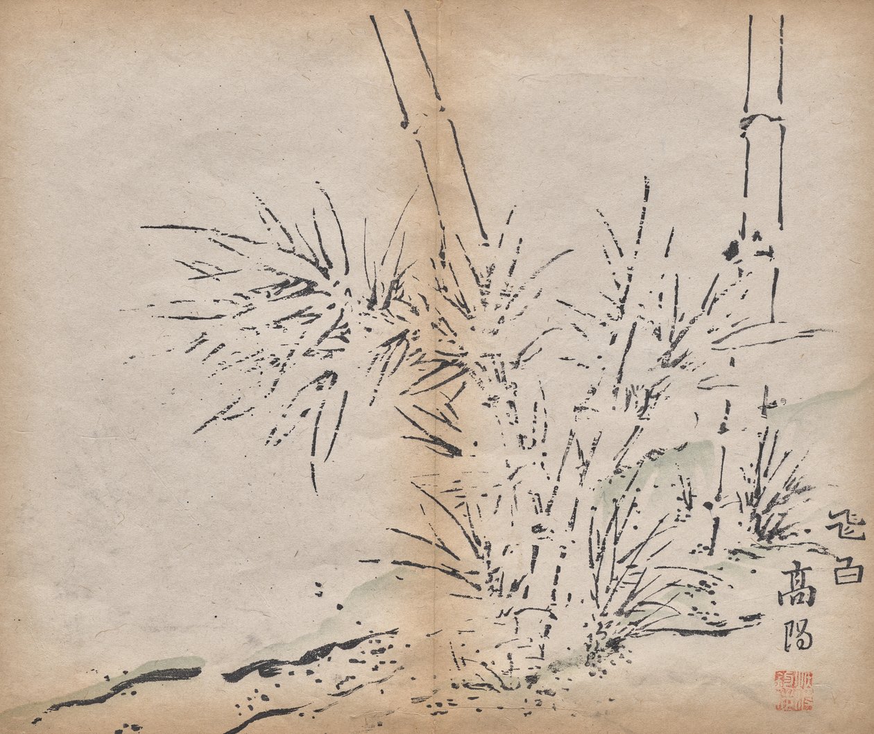 Bamboo by Unknown artist