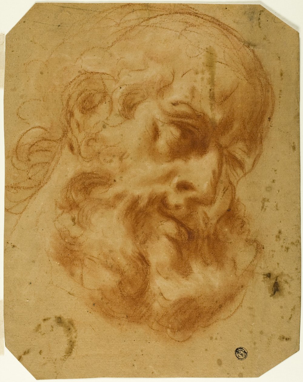 Bearded Head by Unknown artist