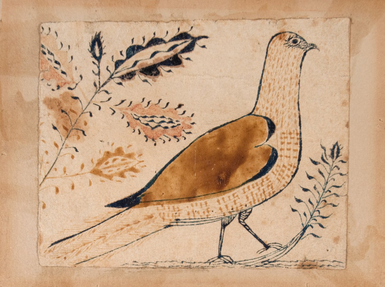 Bird by Unknown artist
