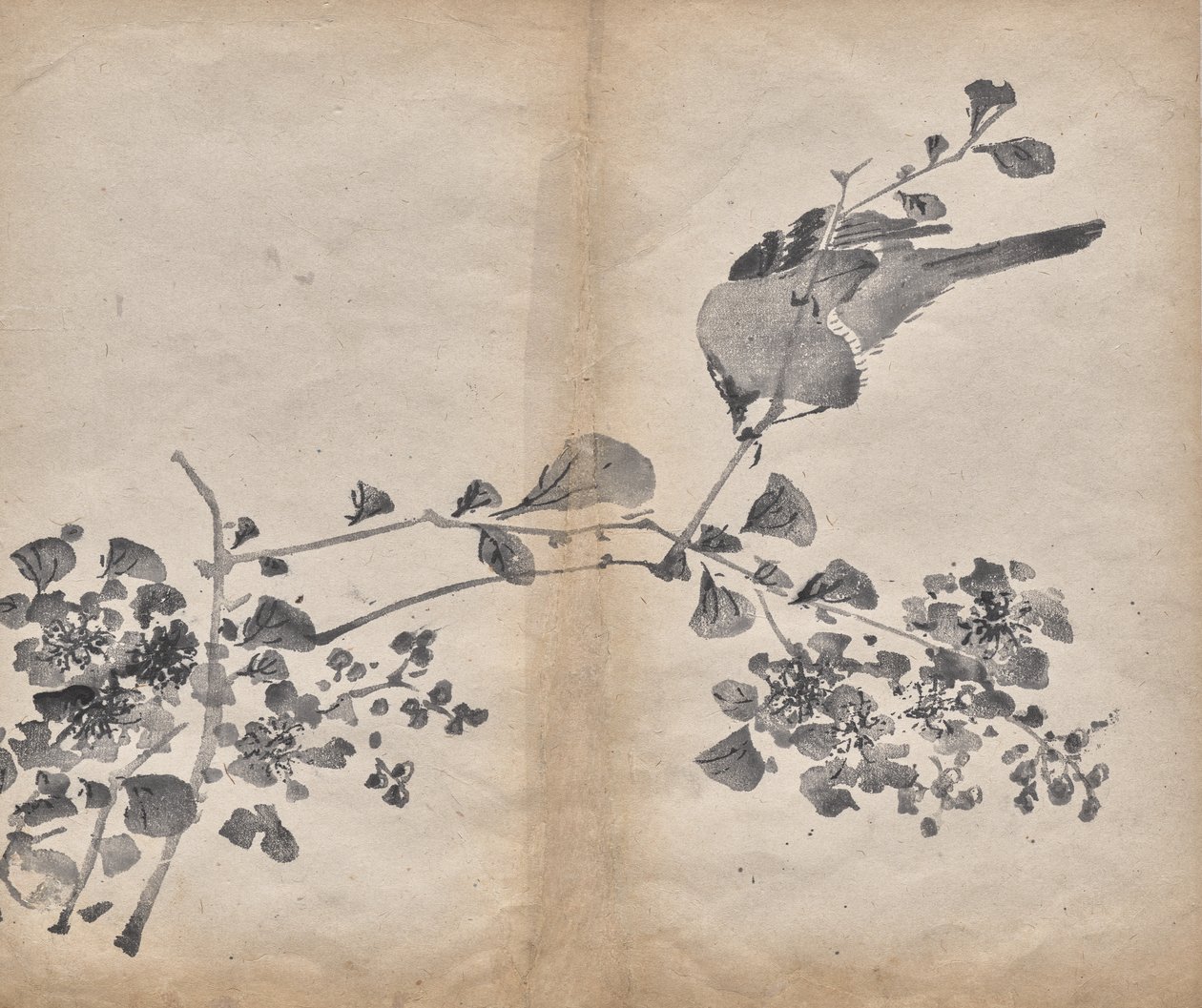 Blossoms by Unknown artist