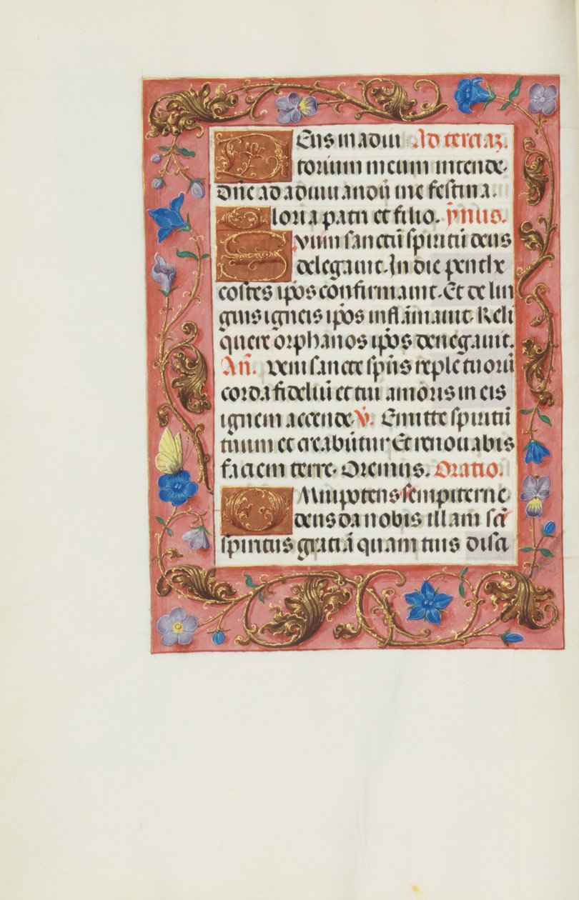 Decorated Text Page by Unknown artist