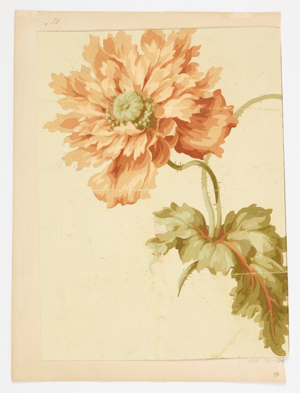 Drawing by Unknown artist