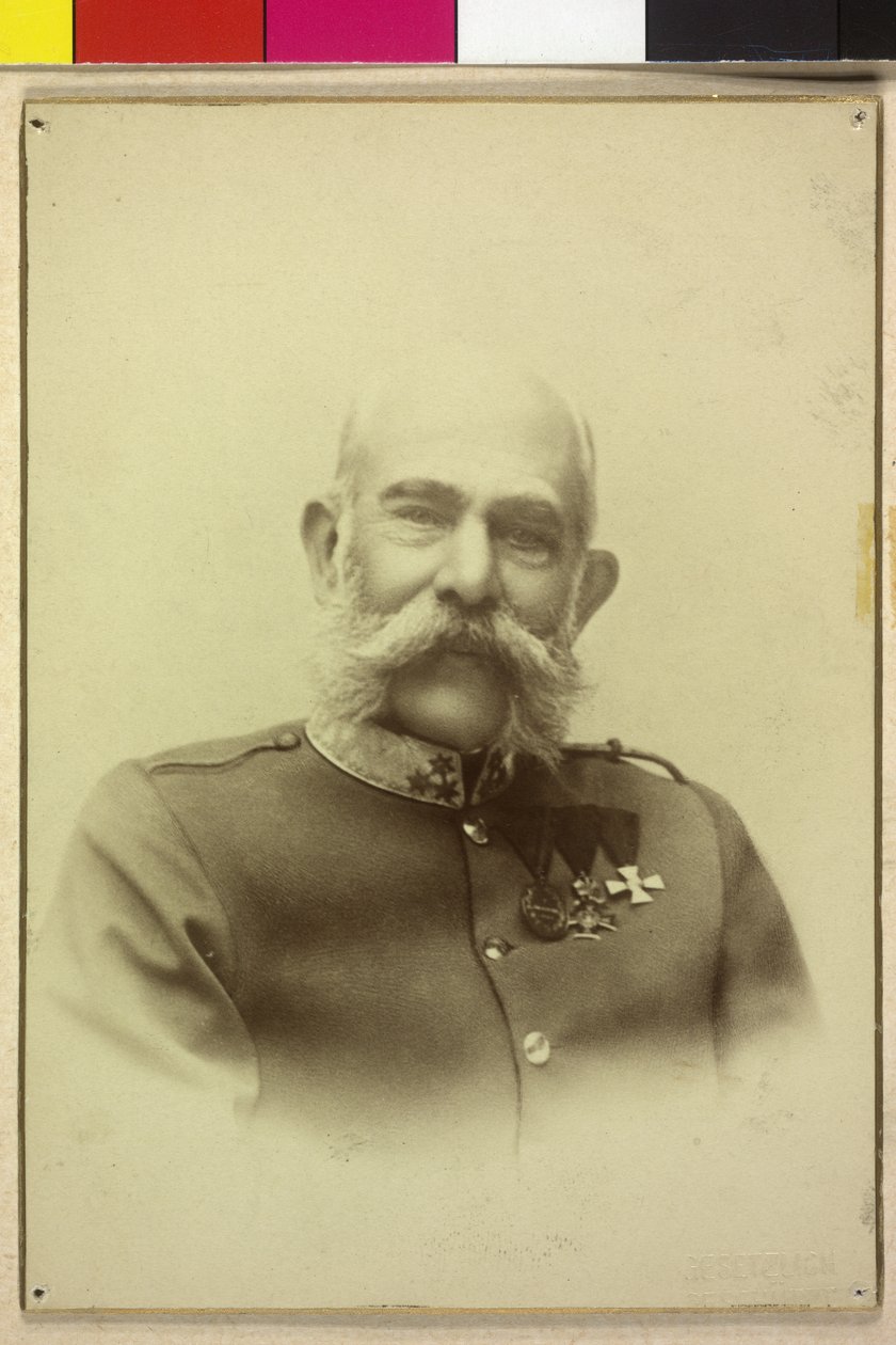 Franz Joseph I by Unknown artist