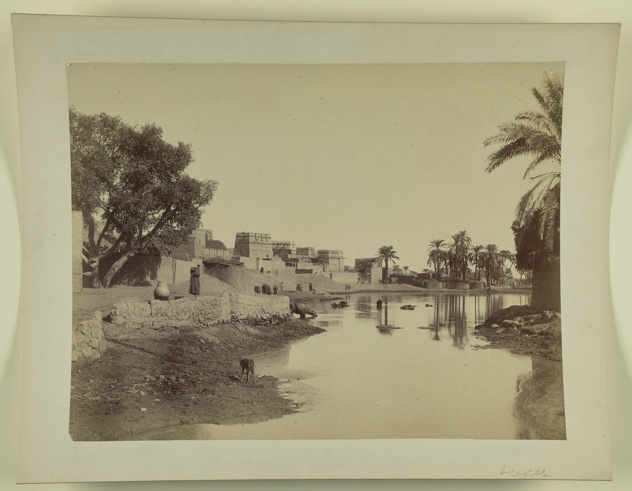 Luxor by Unknown artist
