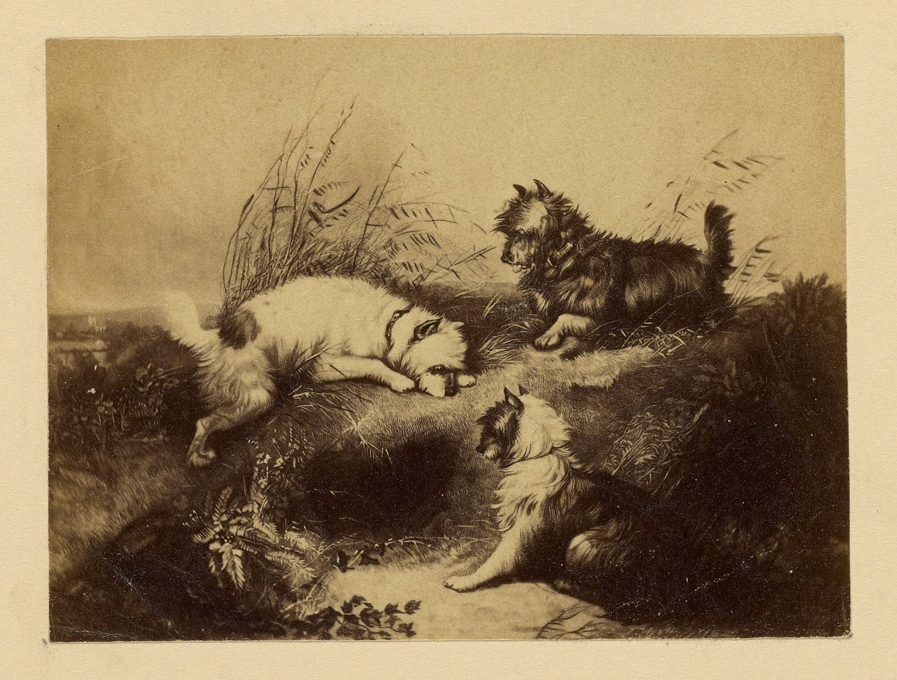 Dogs by Unknown artist