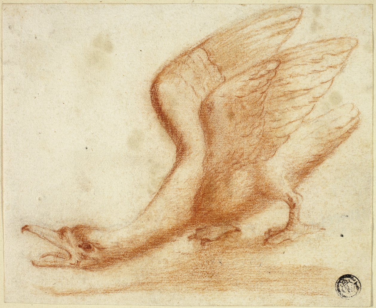 Swan by Unknown artist