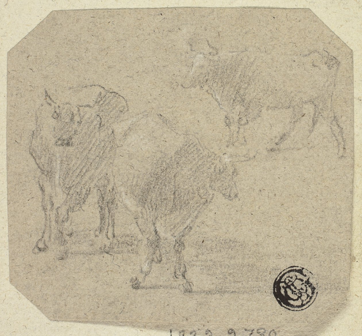 Three Cows by Unknown artist