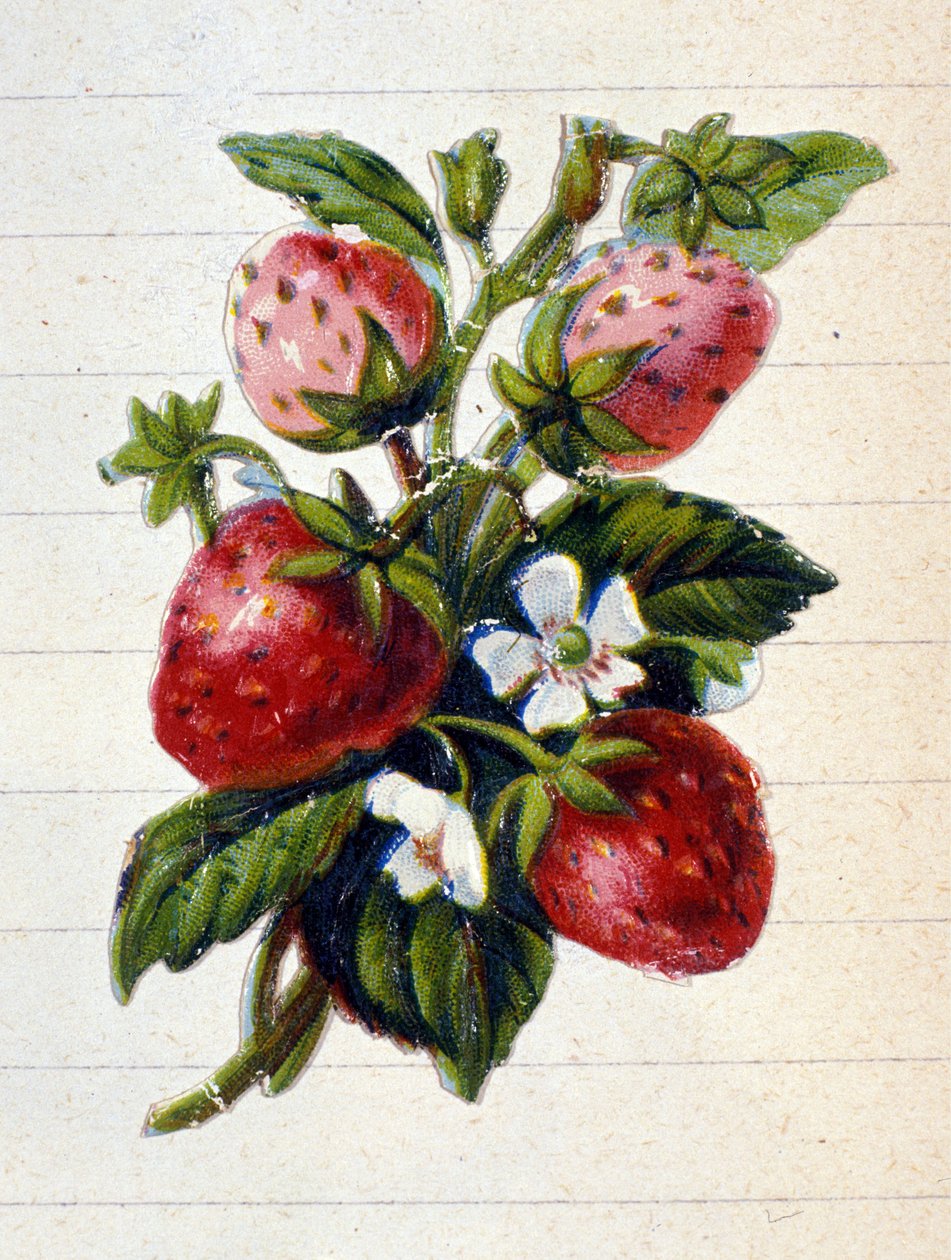 Unknown Image by Unknown artist