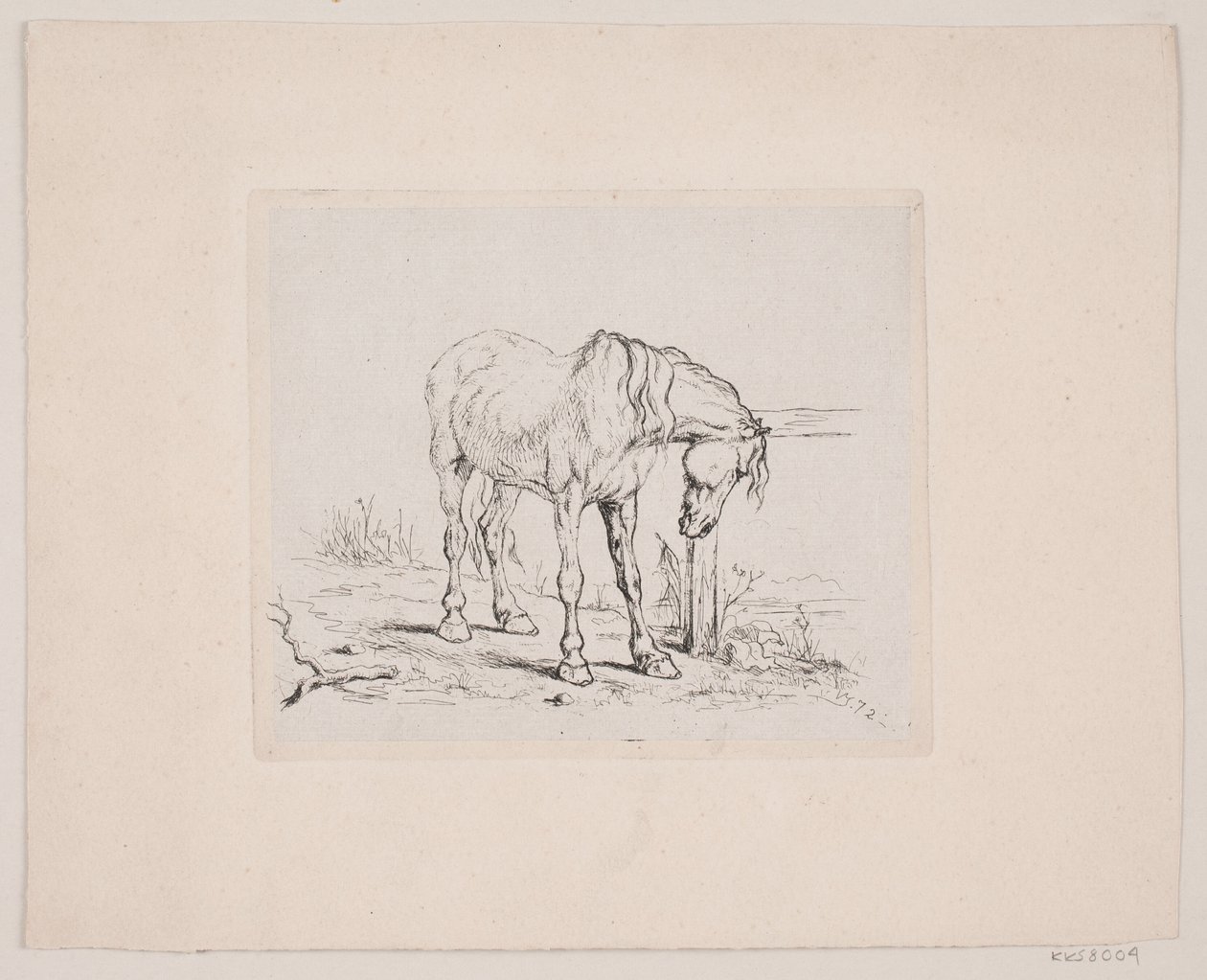 An Old Horse by Valdemar Irminger
