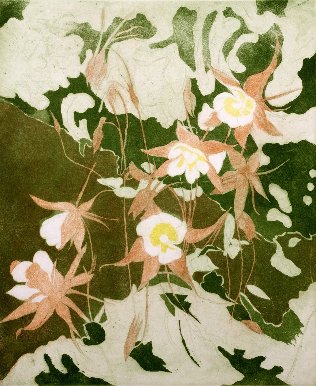 Columbines by Valerie Daniel