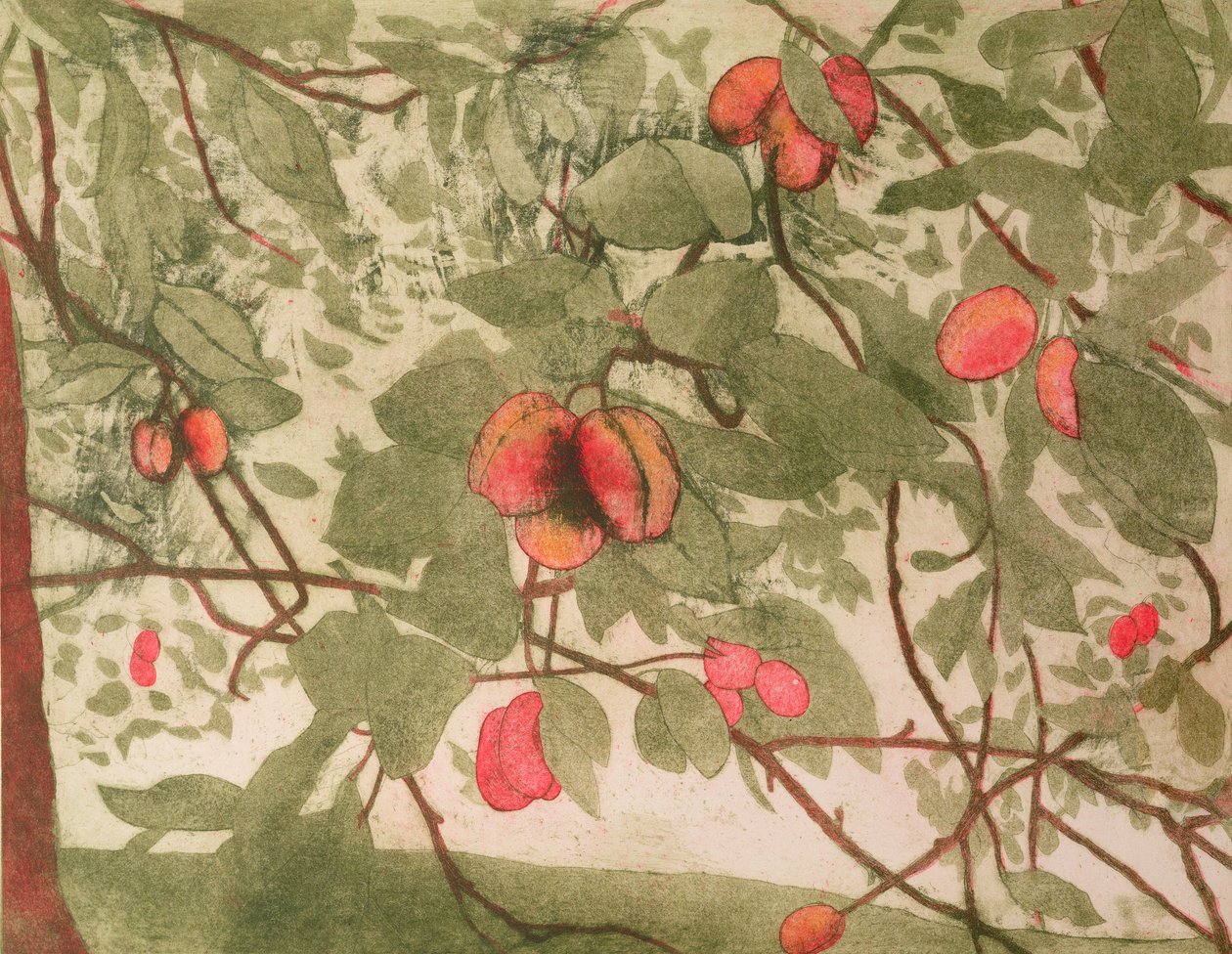 Plums by Valerie Daniel