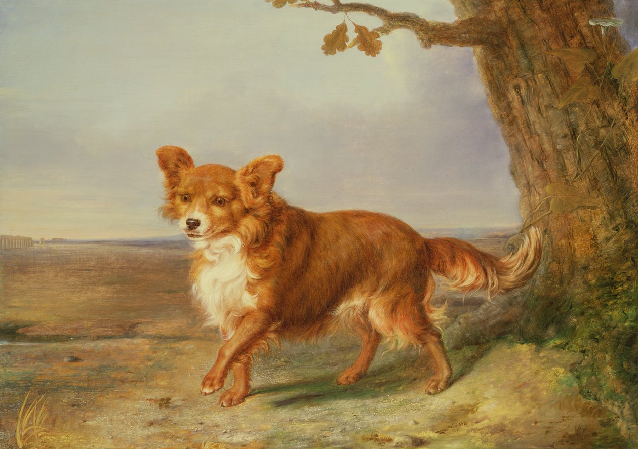 Portrait of a Dog in an Italian Landscape by Vallati