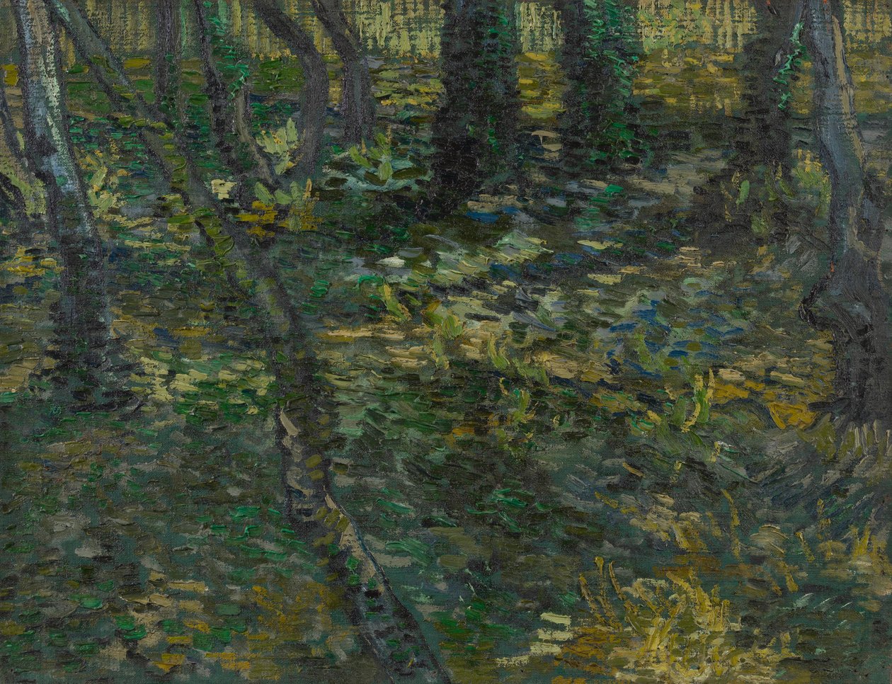 Undergrowth by Vincent van Gogh