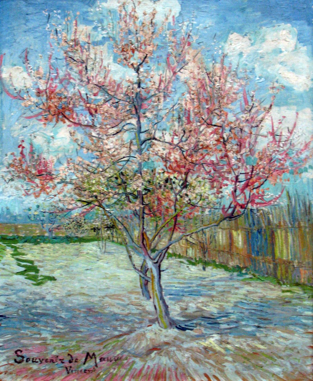 Pink Peach Trees (Souvenir of Mauve) by Vincent van Gogh