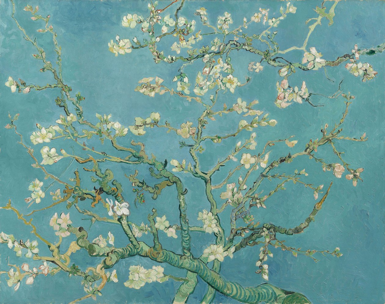 Almond Blossom by Vincent van Gogh