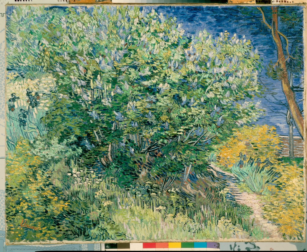 Lilac Bush by Vincent van Gogh