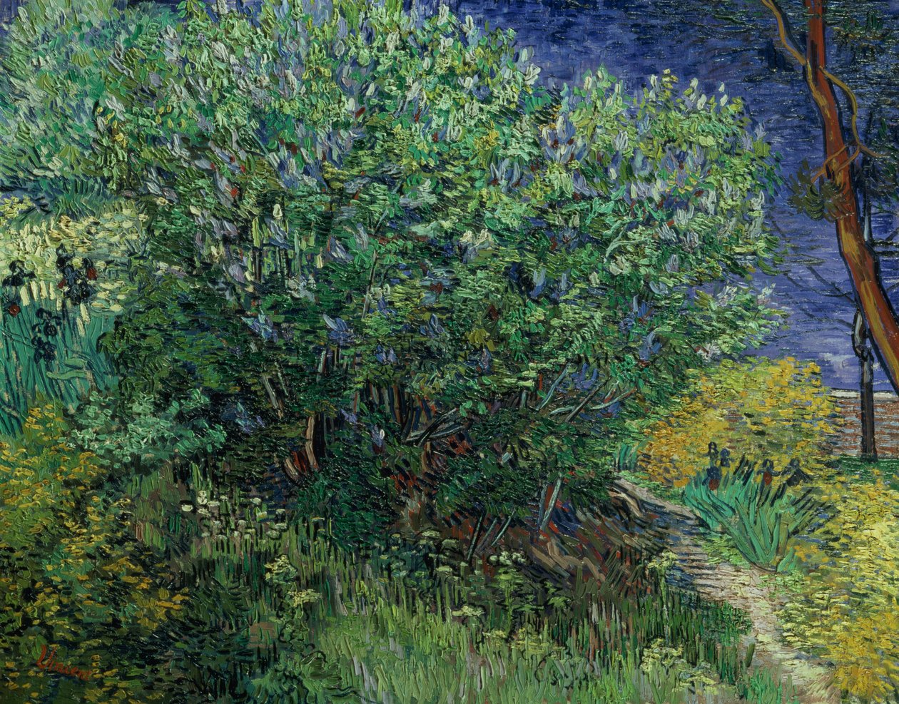 Lilac Bush by Vincent van Gogh