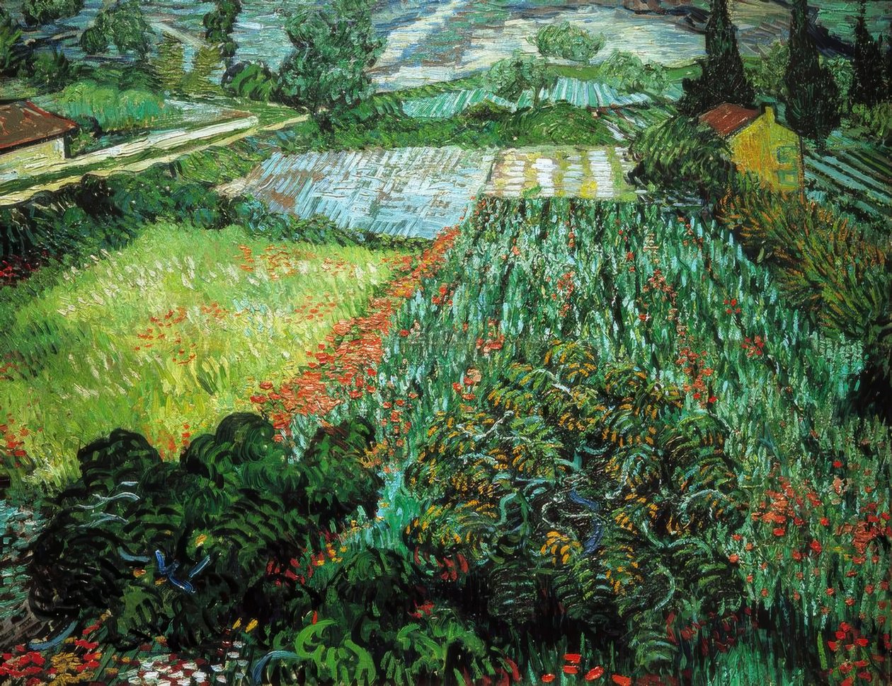 Poppy Field by Vincent van Gogh