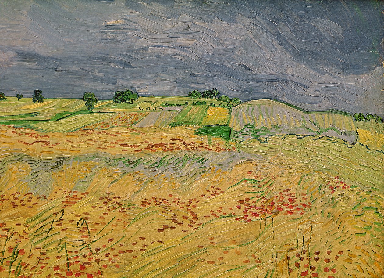 Plain at Auvers, 1890 by Vincent van Gogh