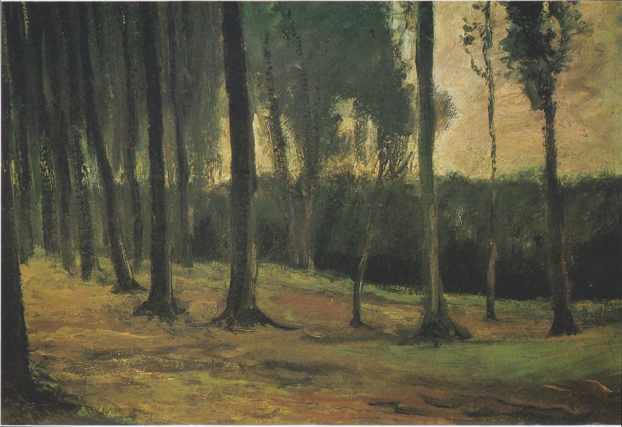 Forest Edge by Vincent van Gogh